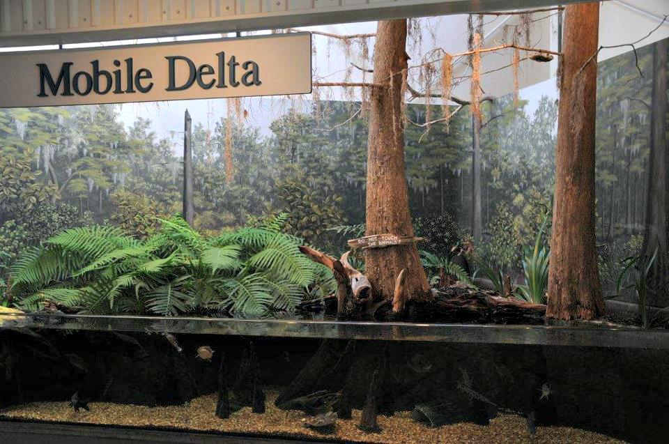 58627 Sealabestuariummobiledeltaexhibit