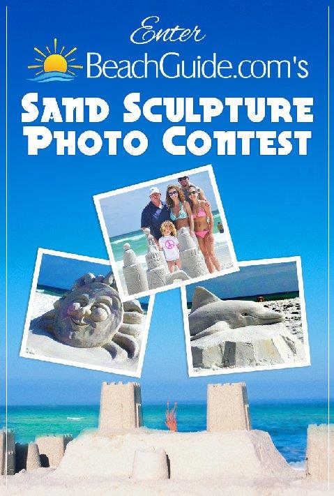 58638 Sandsculpturephotocontestart12