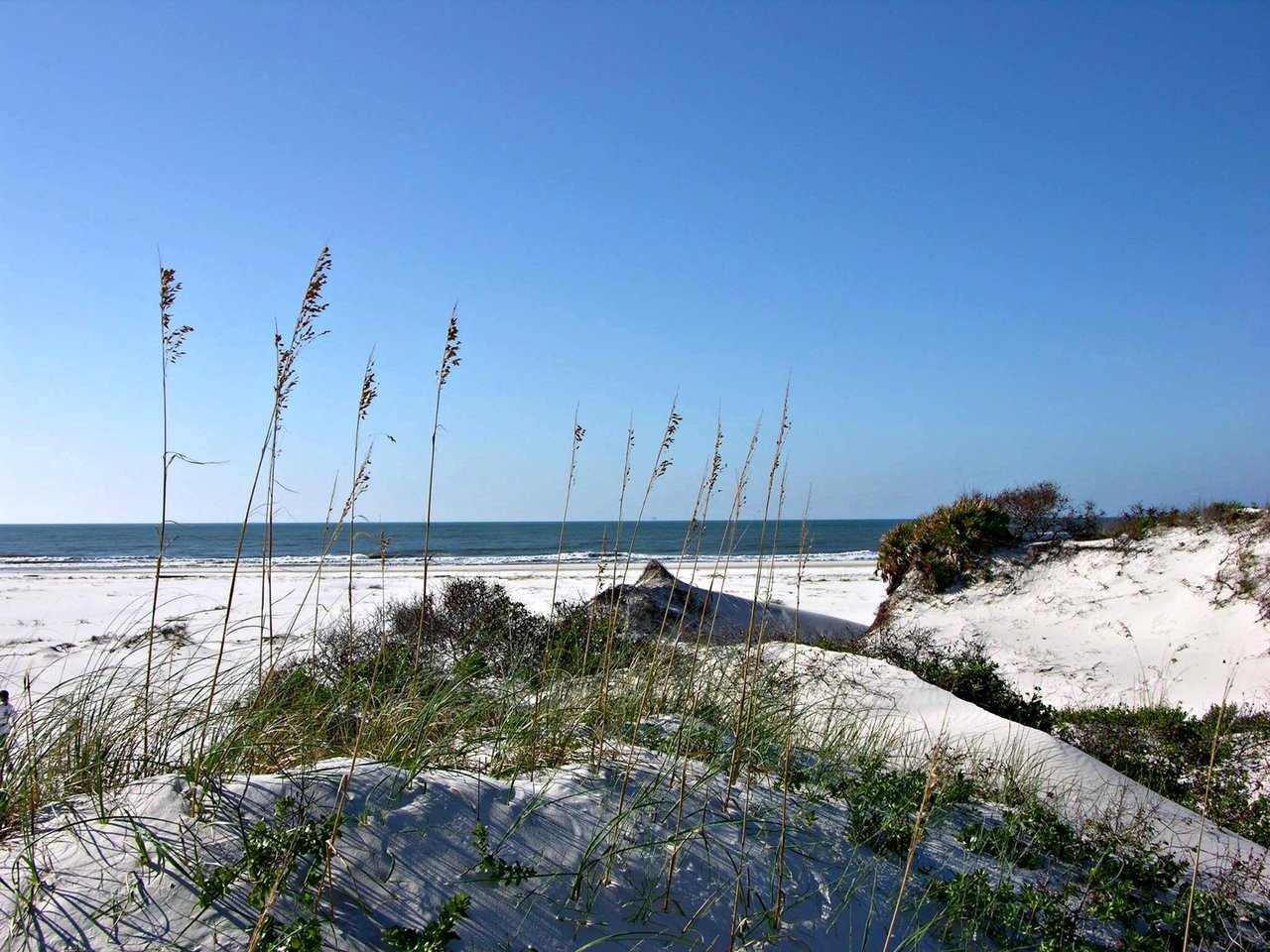 58798 Bonsecournationalwildliferefugedunesbeachandgulf