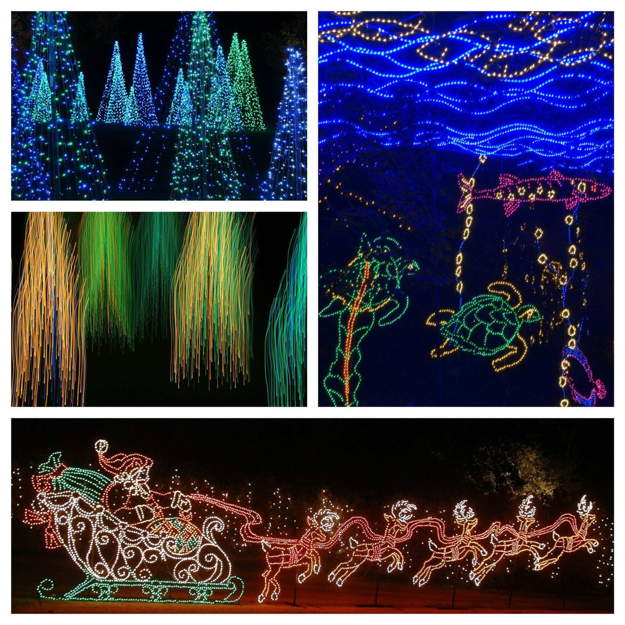 59039 Bellingrathmagicchristmasinlightscollage