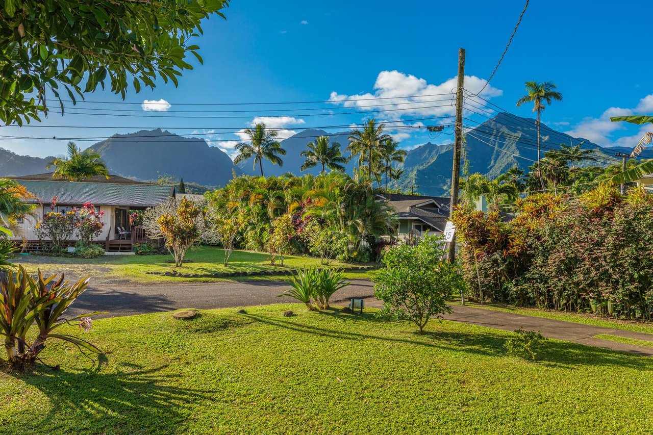 Lush greenery and mountain views