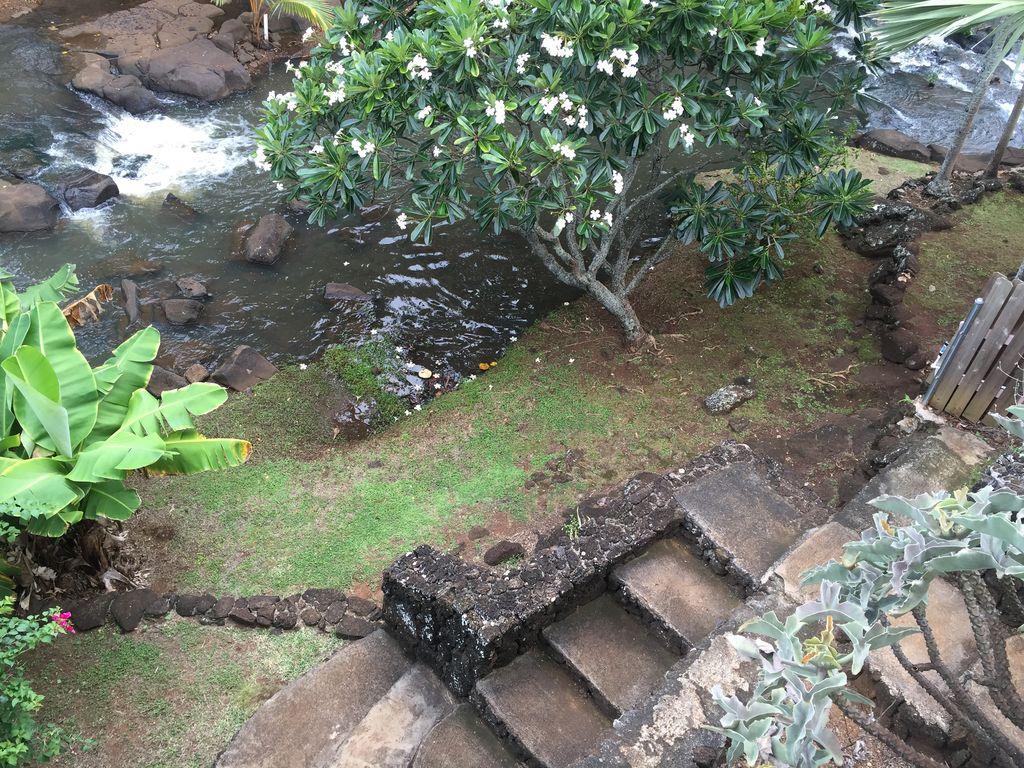 Steps to stream
