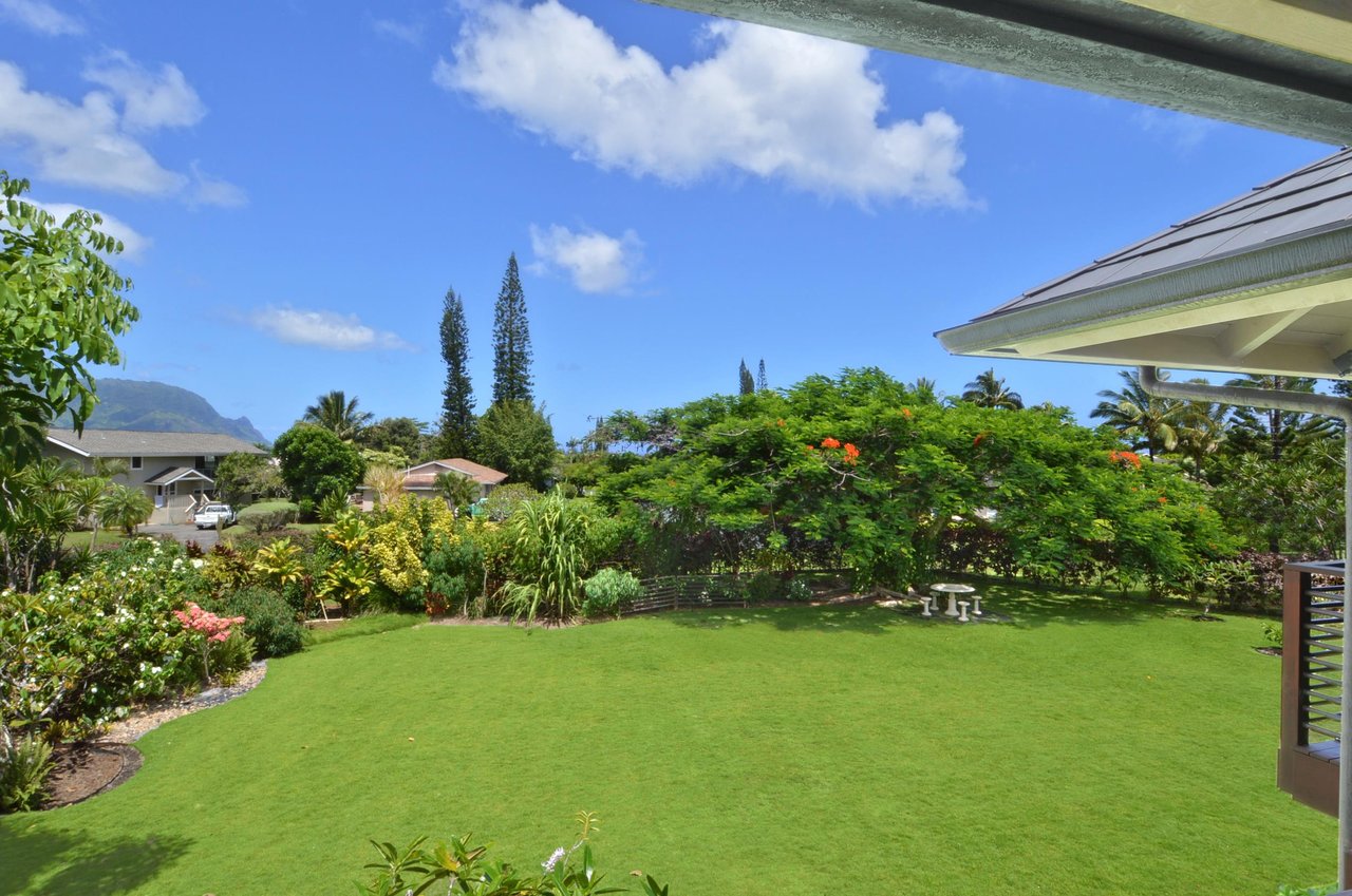Back Yard View