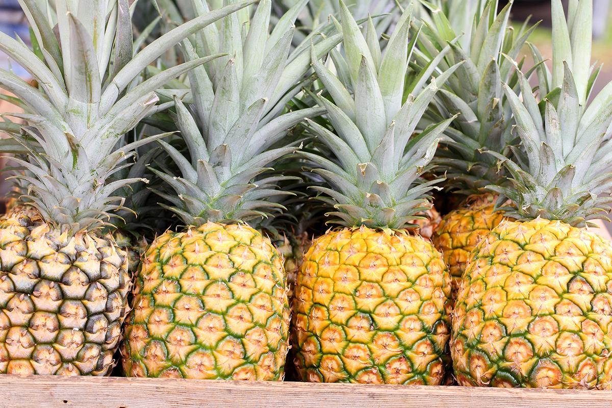 14219 Farmers Markets Pineapple