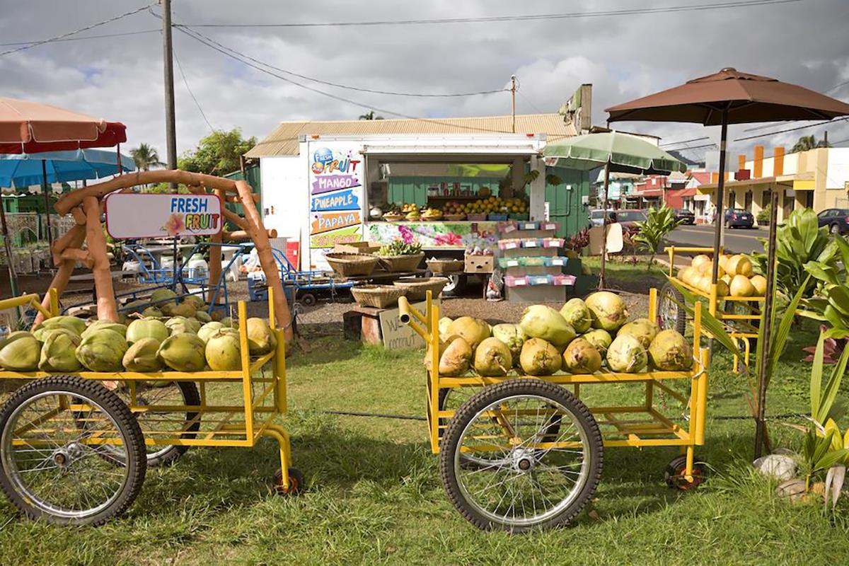 14223 Farm Market 1