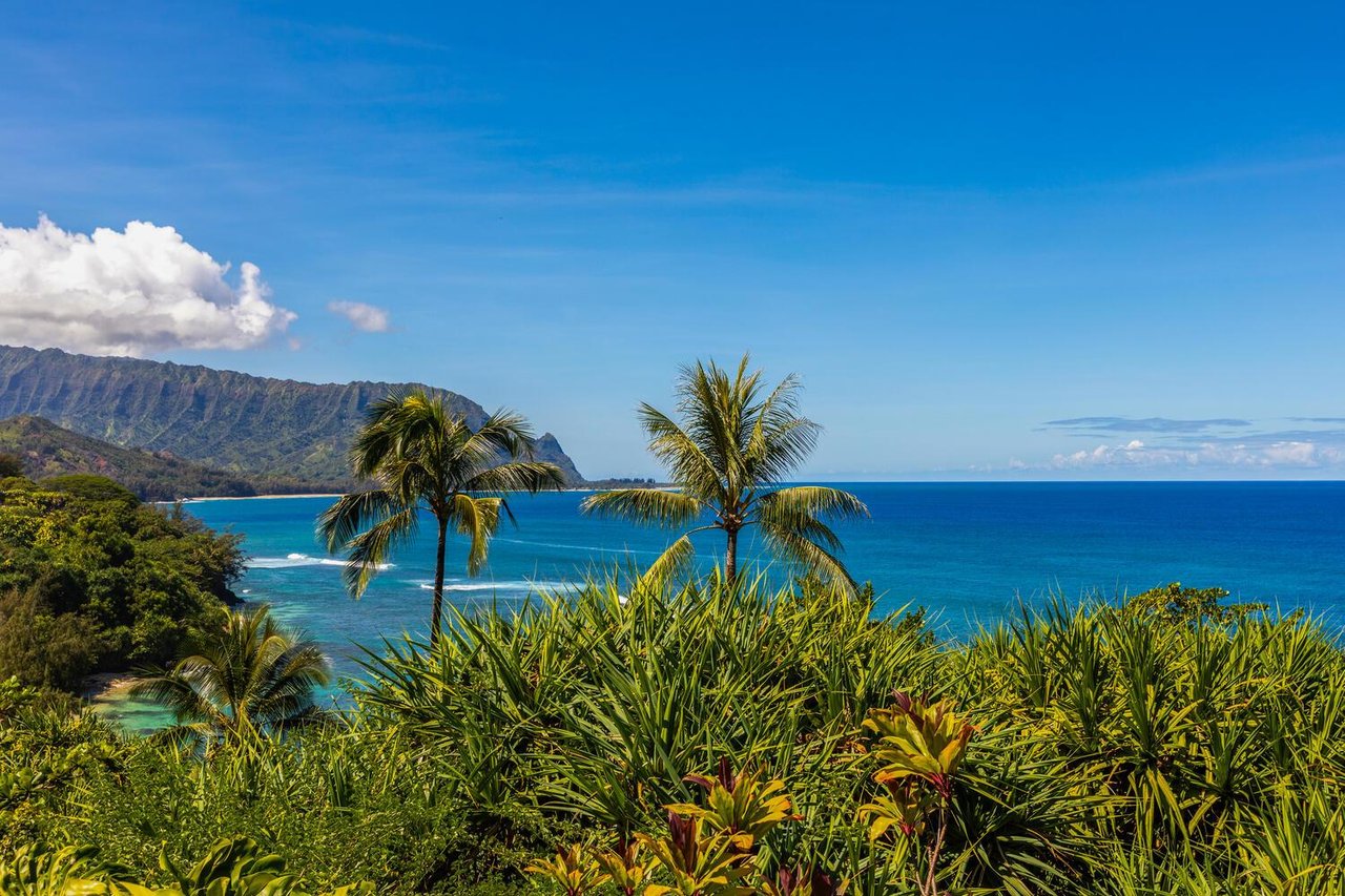 Stunning tropical views from Pali Ke Kua