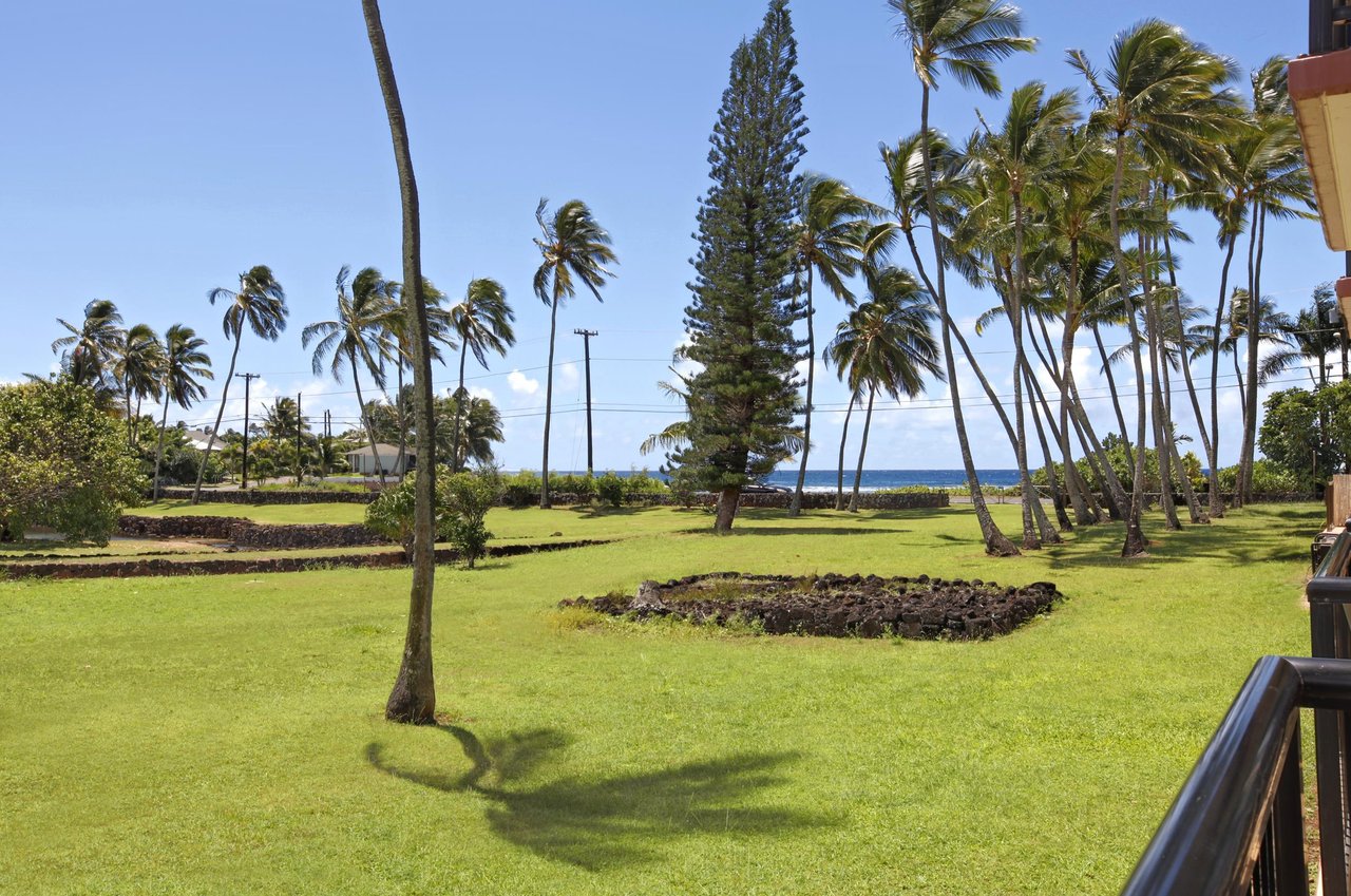 Lanai View