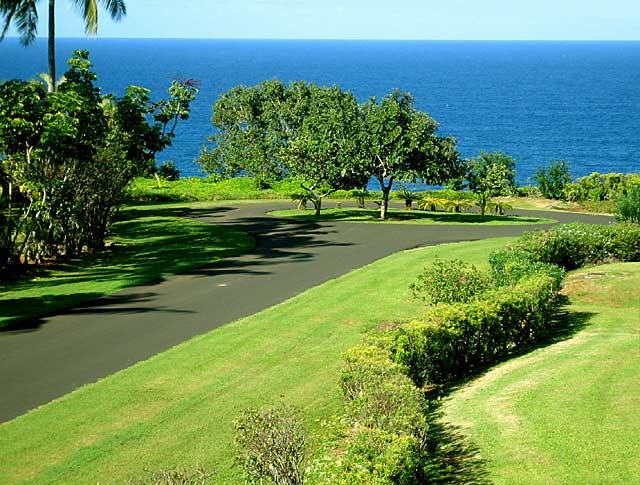 Looking out from front lanai