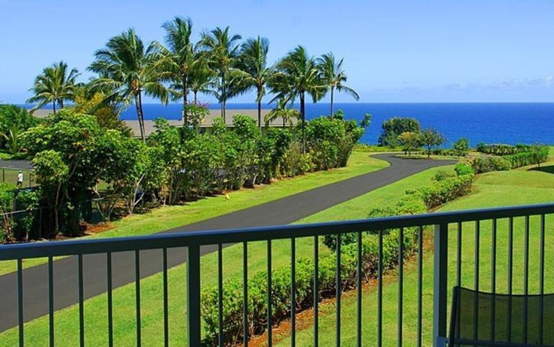 The front lanai off the living area