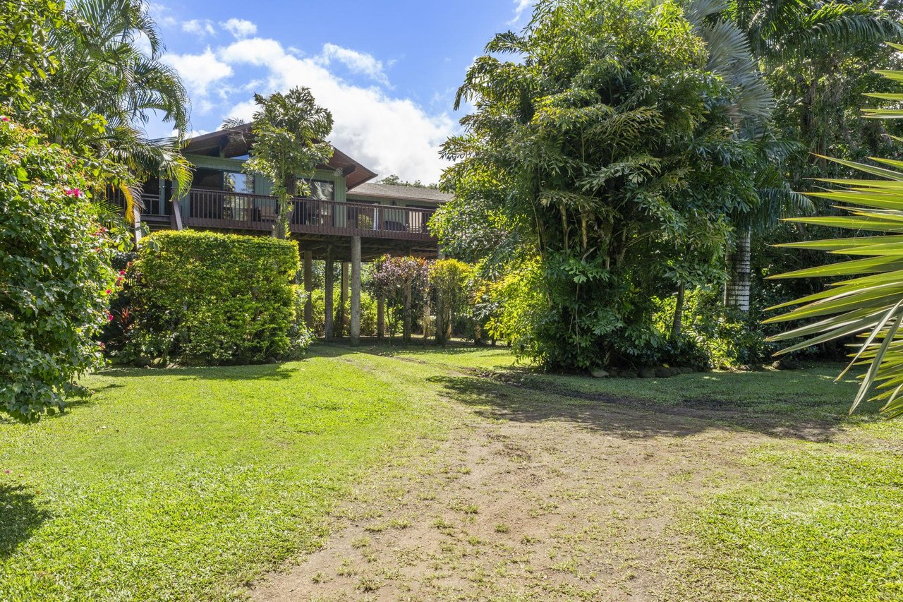 Wainiha Palms
