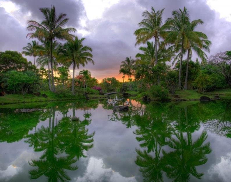 7240 Naaina_kai_botantical_gardens
