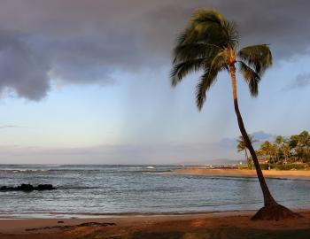 7273 Poipu_beach_park_kauai