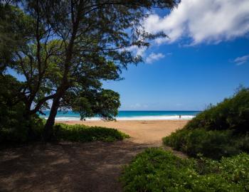 7275 Kealia_beach