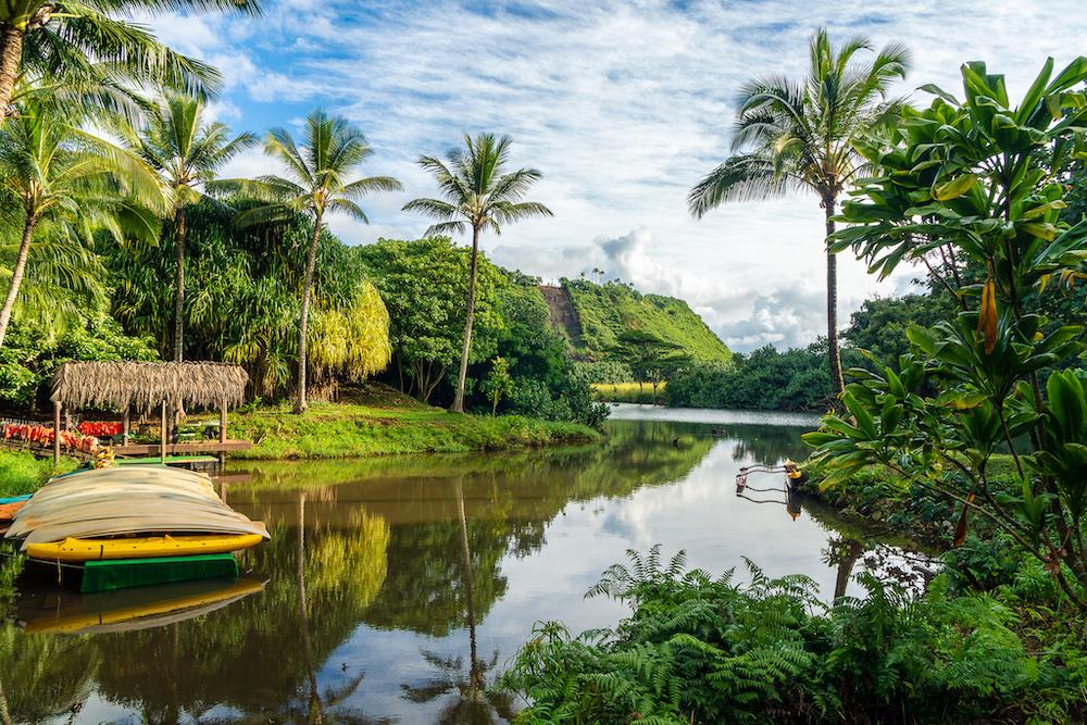 7291 Kayak_wailua_river