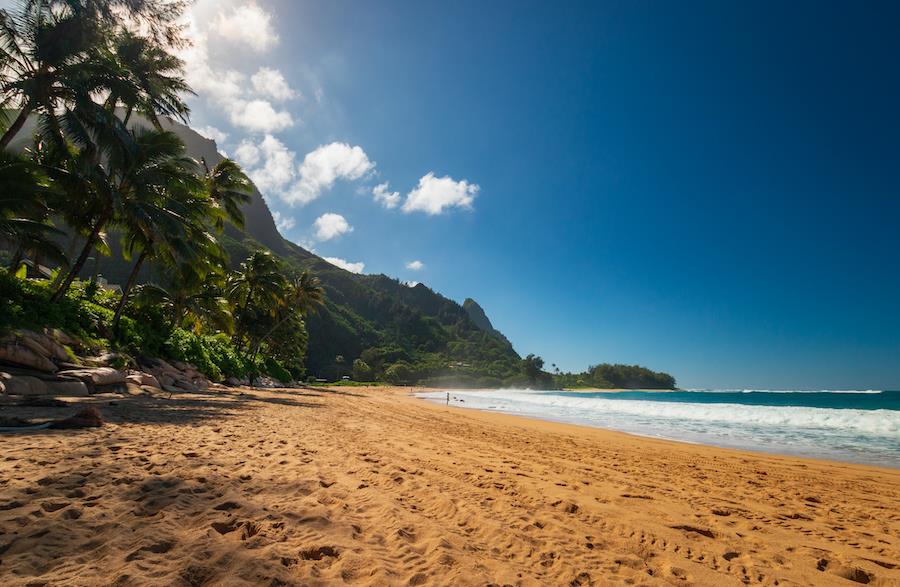 7387 Tunnelsbeach
