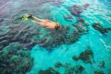7392 Snorkeling