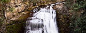 35 A Waterfall In A Forest