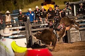 43 A Bull In A Rodeo