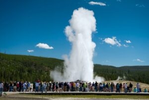 60 Old Faithful Summer Best Of Big 300x202