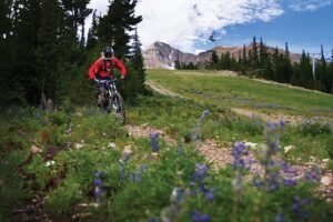 73 Mountain To Meadow Big Sky 300x200