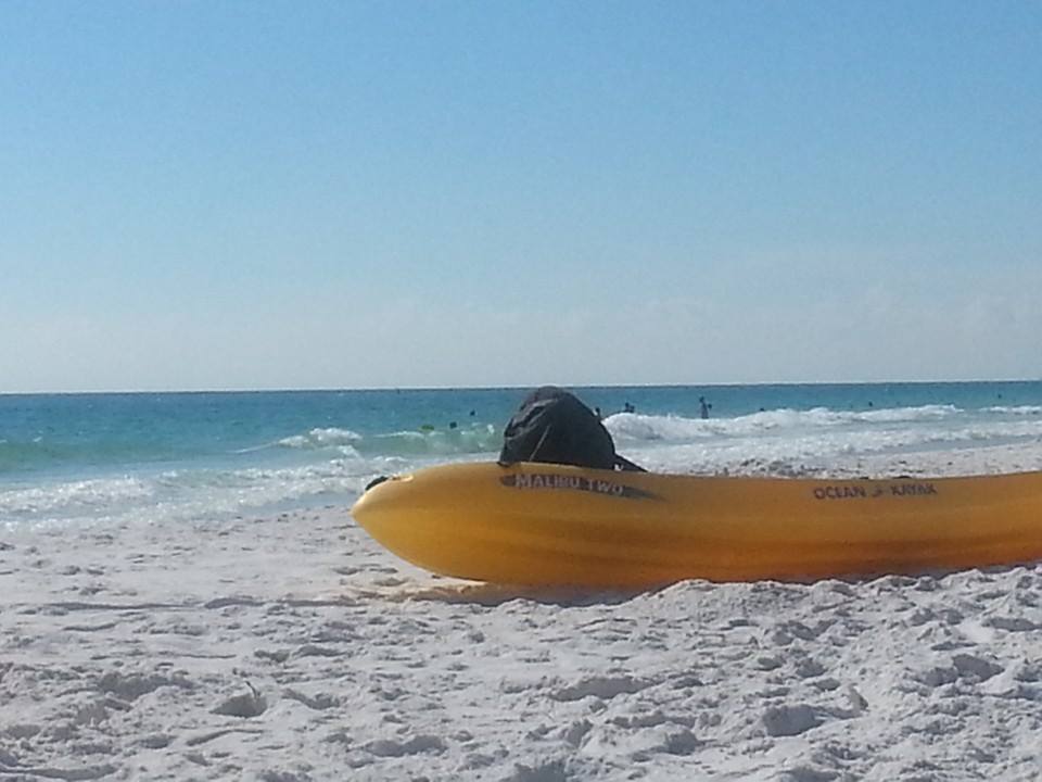kayak kayak