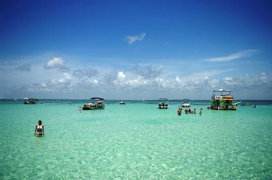 crabisland crabisland