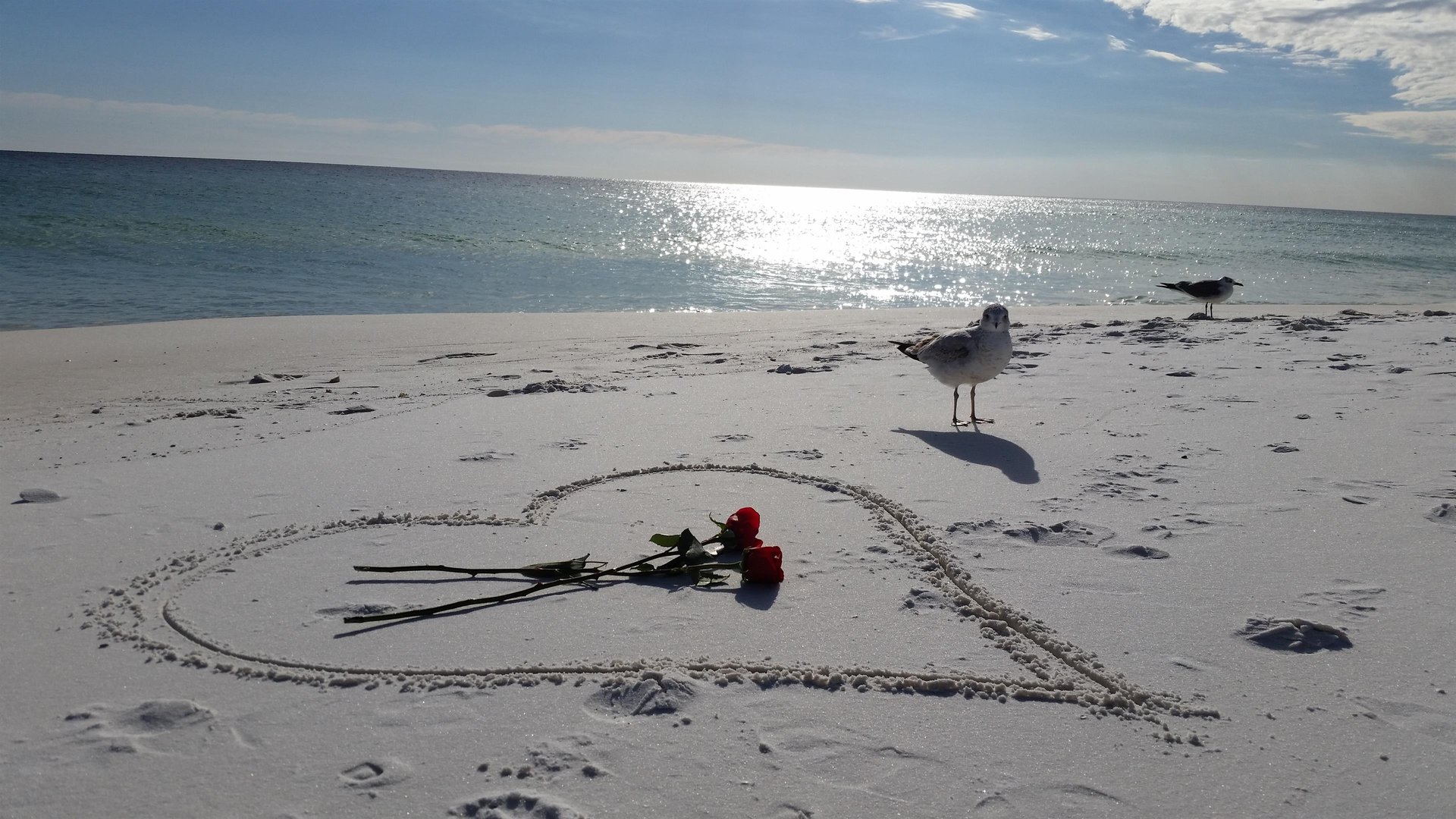 Love Birds
