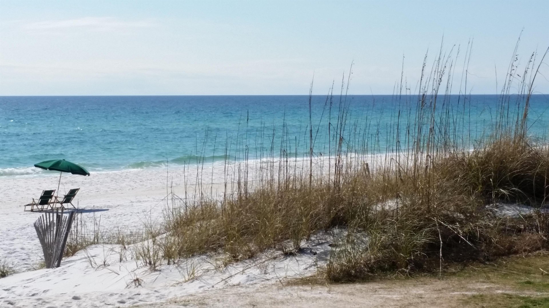 Beach Day 12115