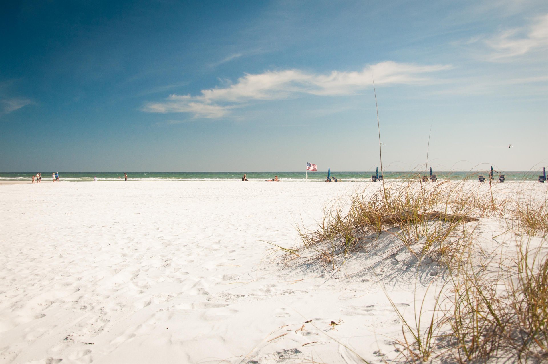 a beach with people on it