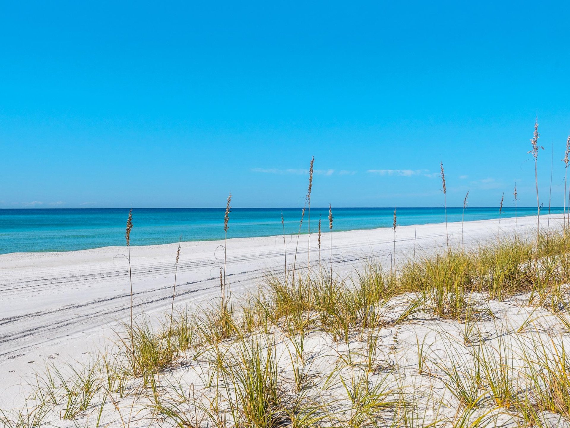 Beautiful White Sandy Beach
