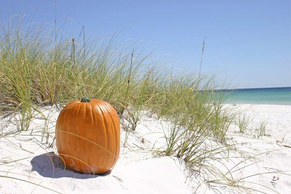 Fall at the beach Fall at the beach