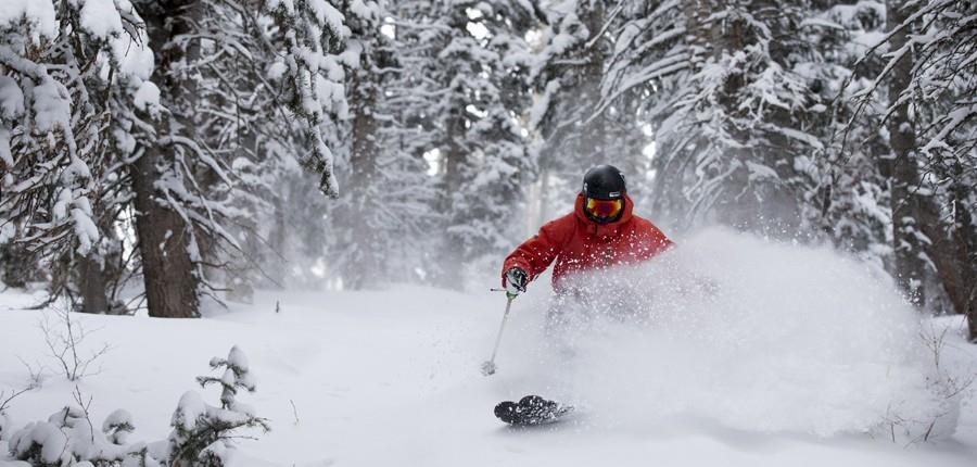 3623 067deervalleypowderskiing900x430