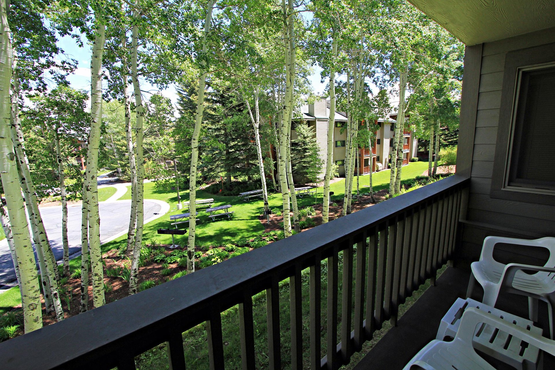 Summer view from the private patio looking over the common BBQ area and the Aspen grove