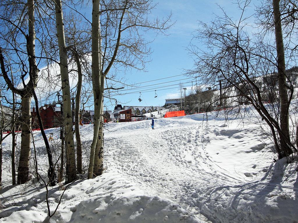 Winter View