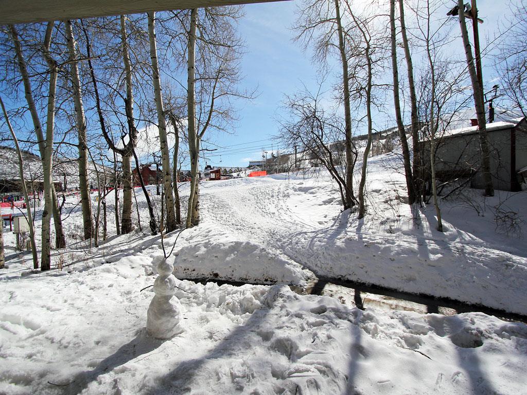 Winter View