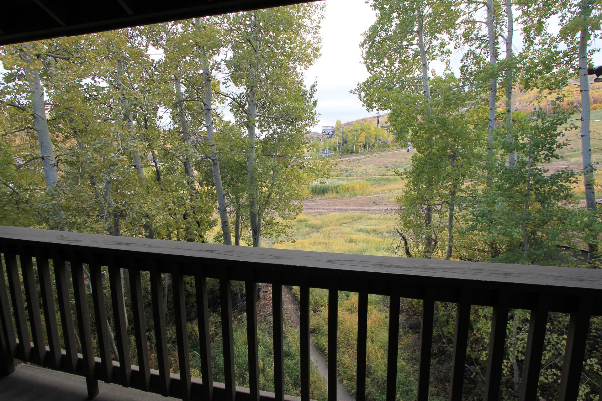 Summer View