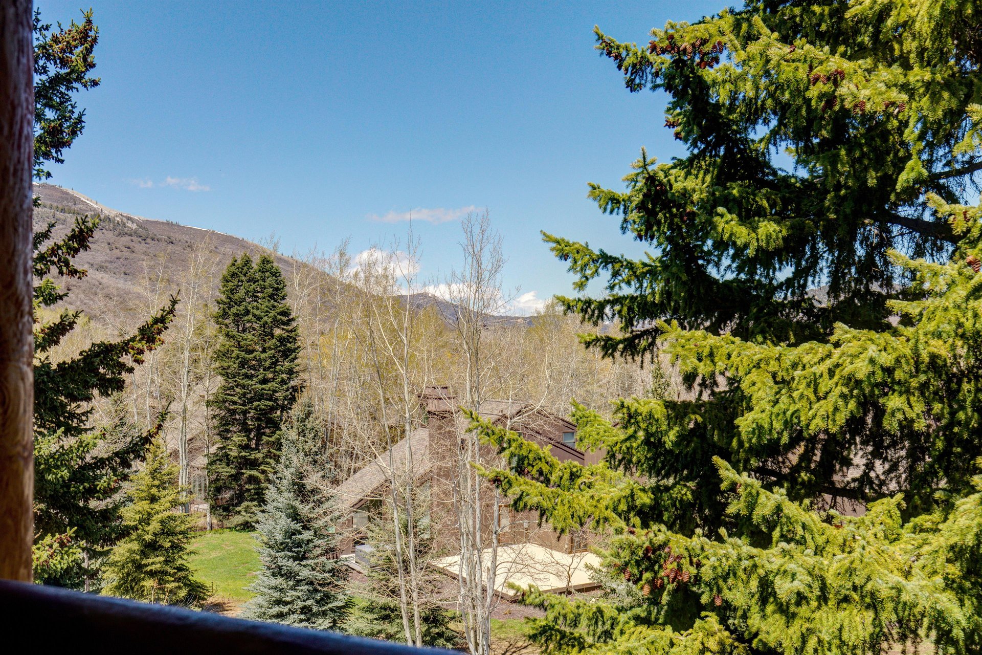Snow Flower 29s deck with wooden railing and an green grass, many trees, houses in the distance, and blue sky.