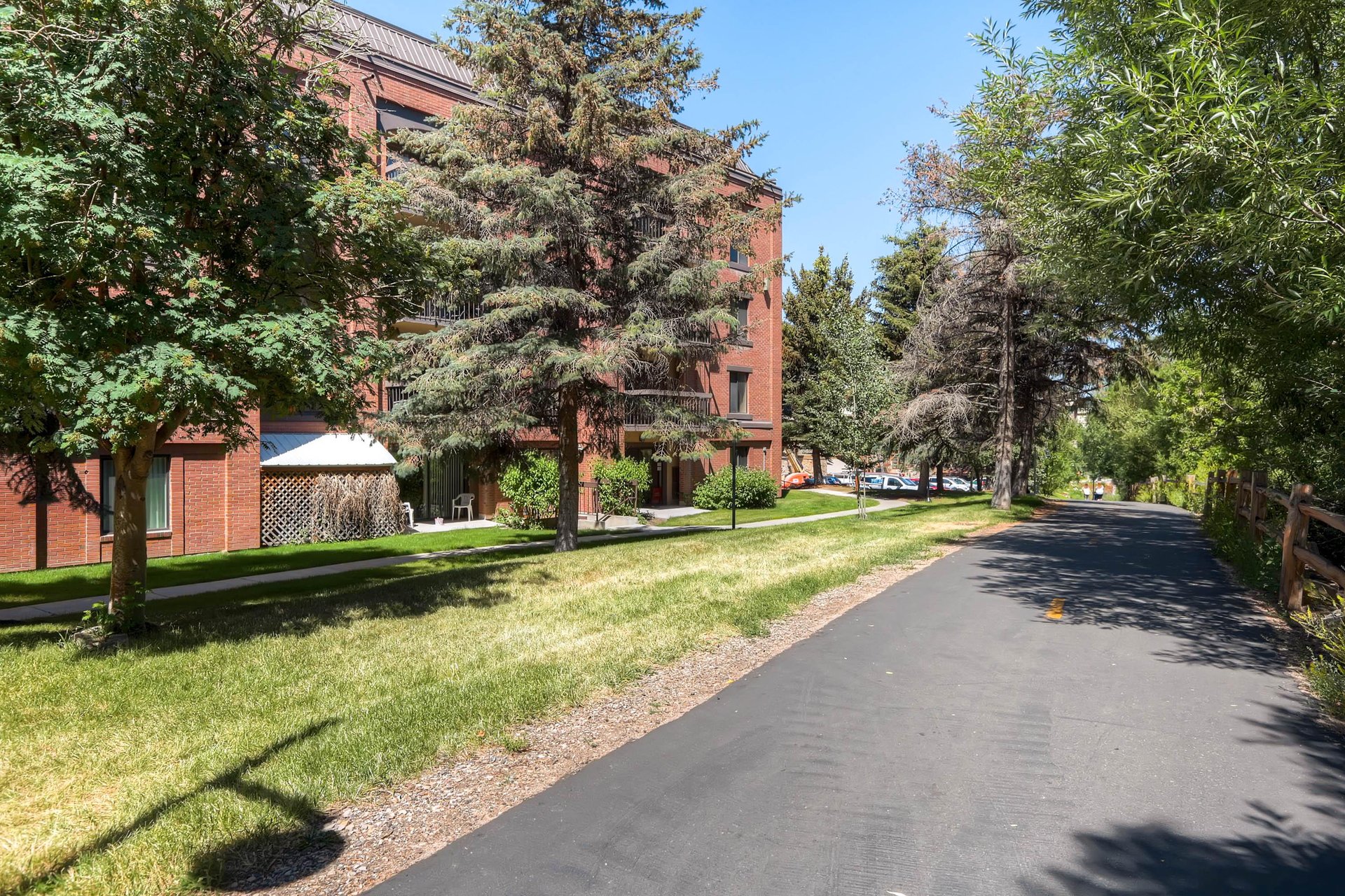 Park Station Condomiums running path lined with grass, evergreen and deciduous trees and bushes.