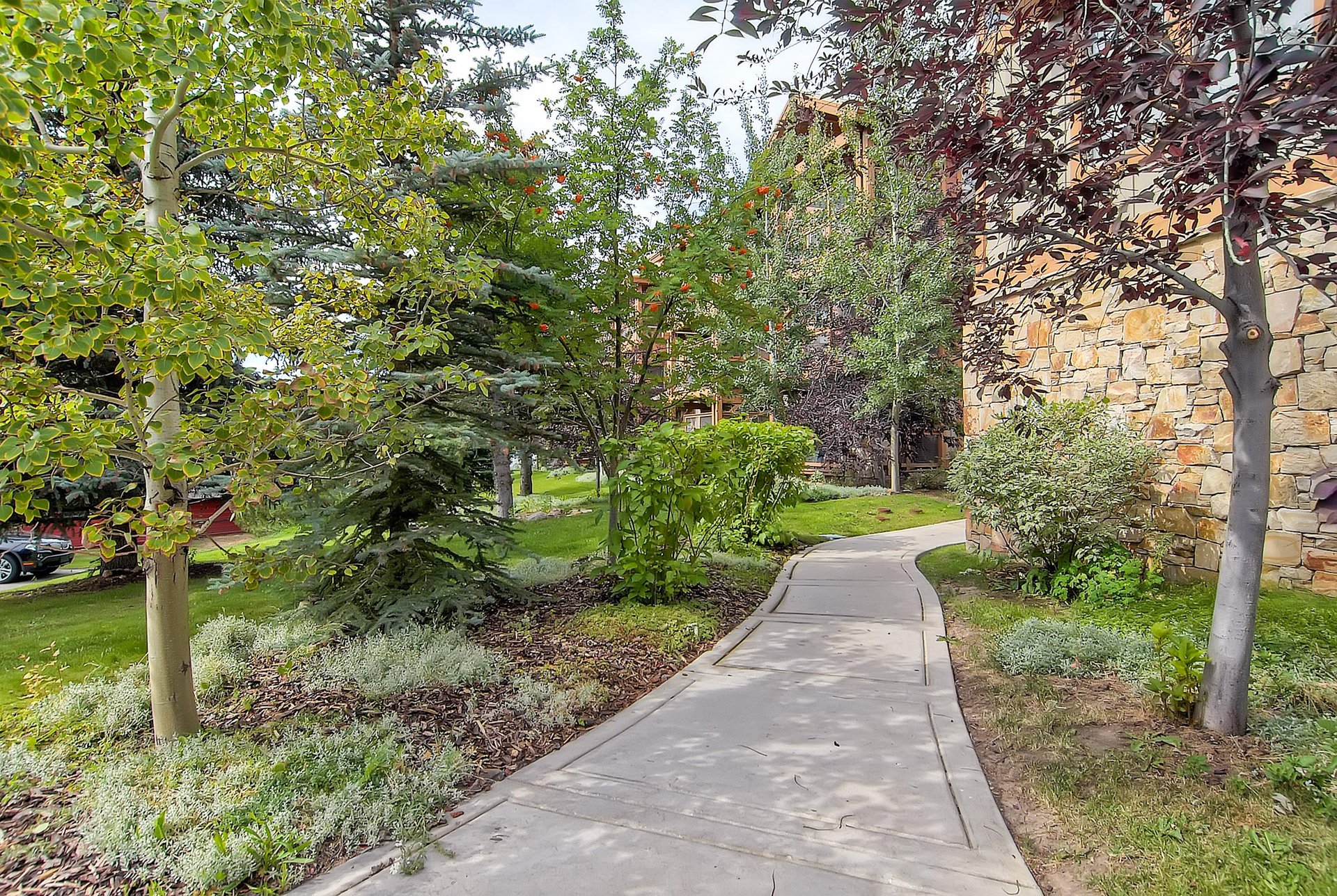 Park Station Condominiums running path lined with grass and evergreen trees.