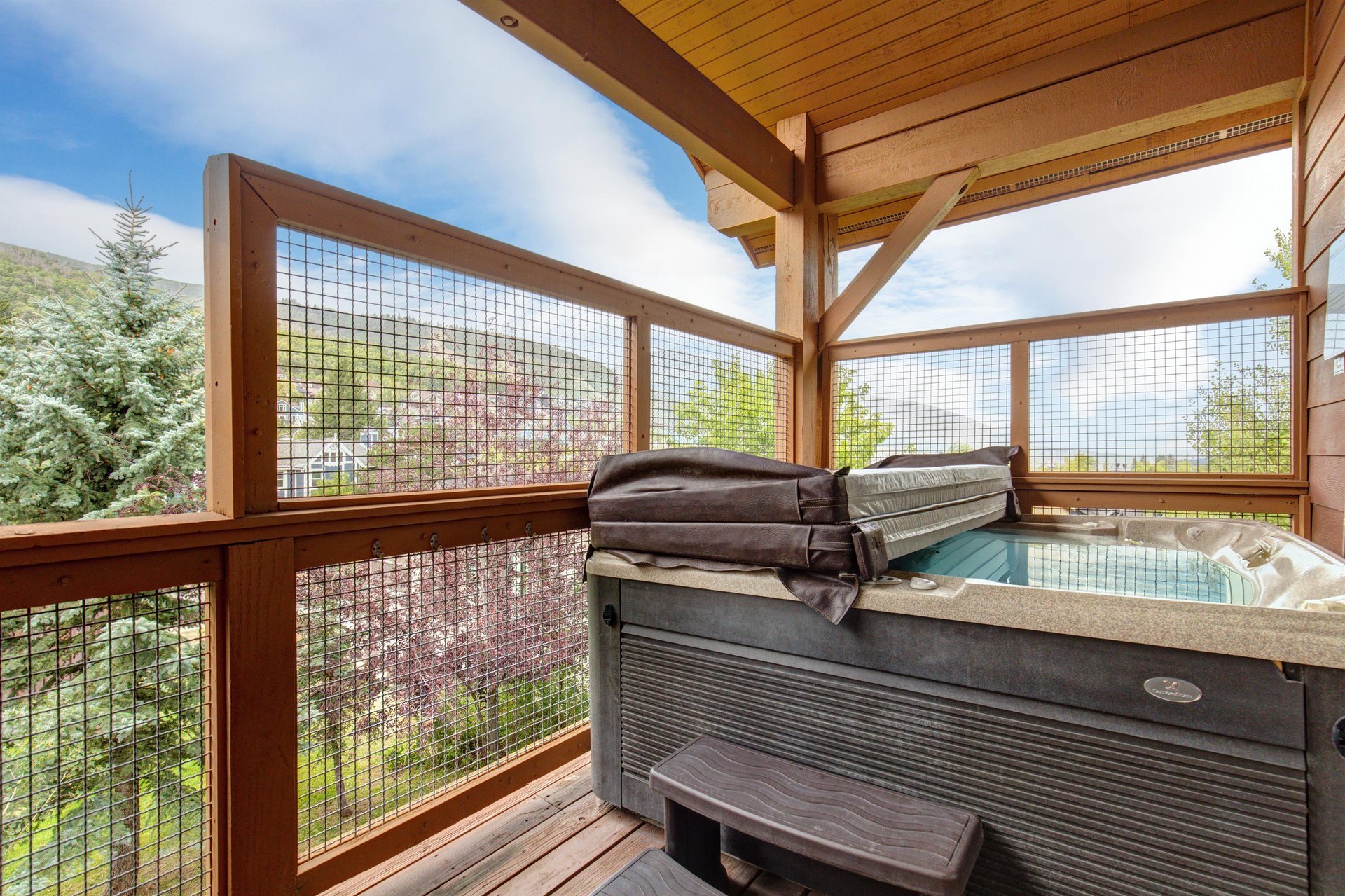 The three bedroom Town Pointe B205 condominium offers skiin and out access to Town Lift and walking distance to Historic Main Street.