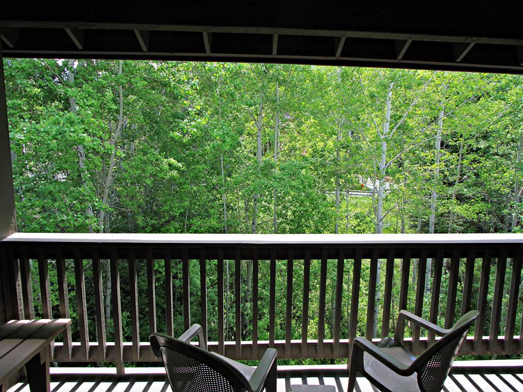 Private patio with views of the aspen trees in summer.
