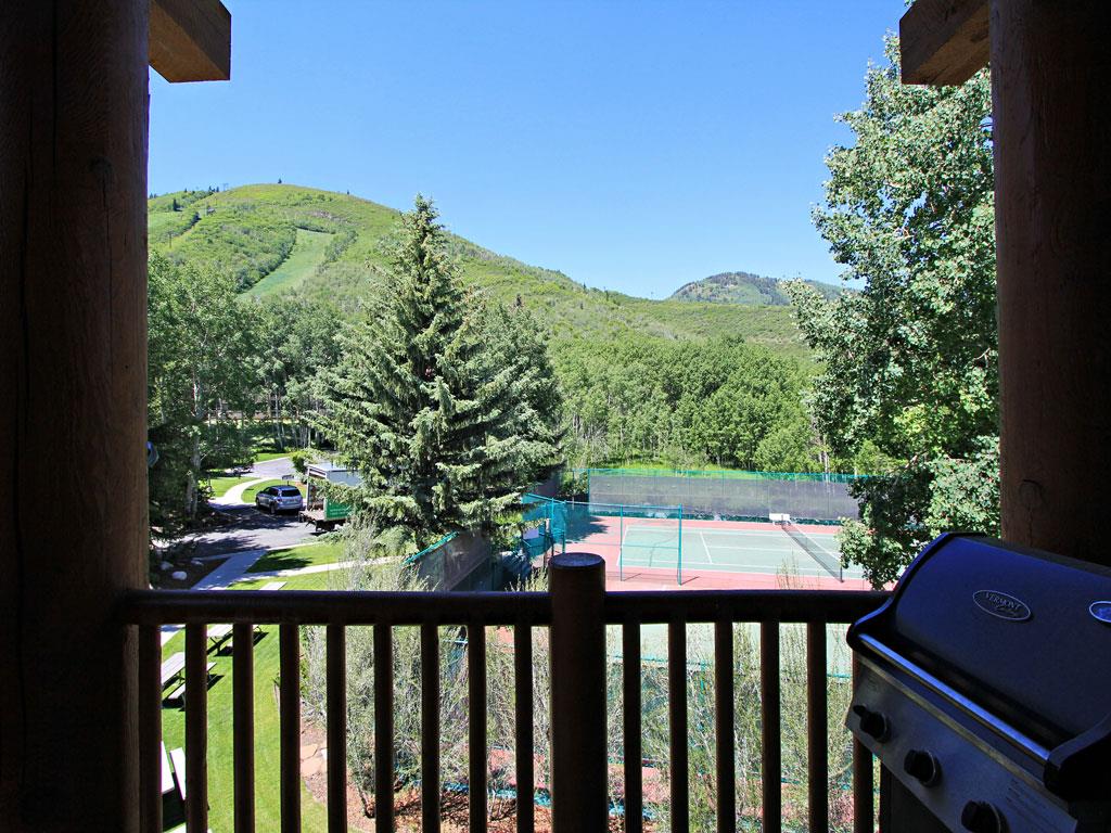 Summer view of the tennis courts