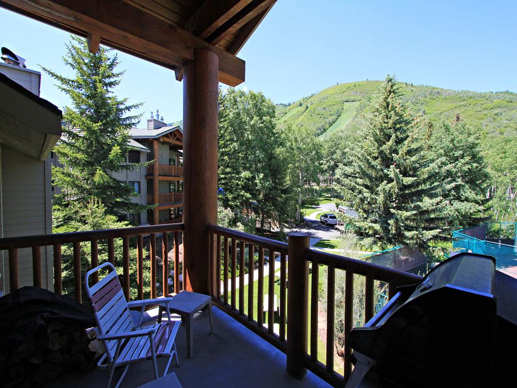 Summer View