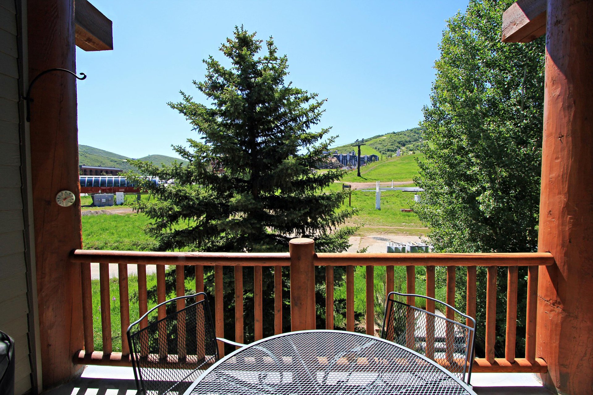 Summer View
