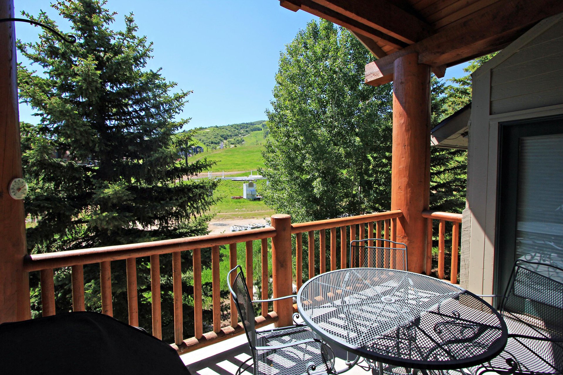 Summer View