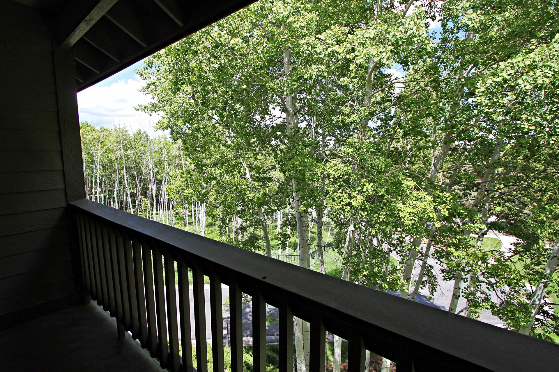 Summer View