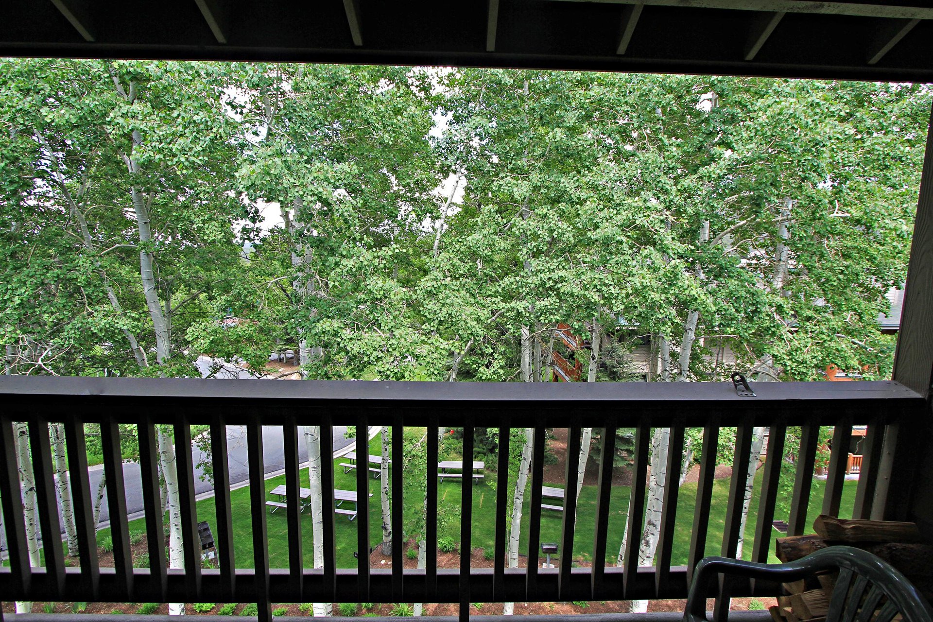 Summer View