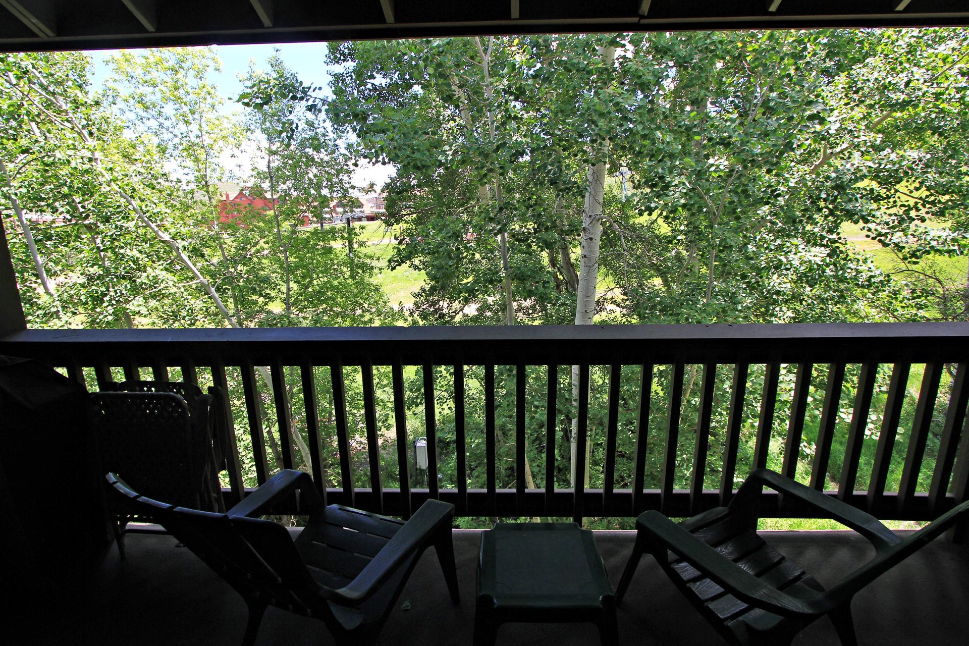 Summer View
