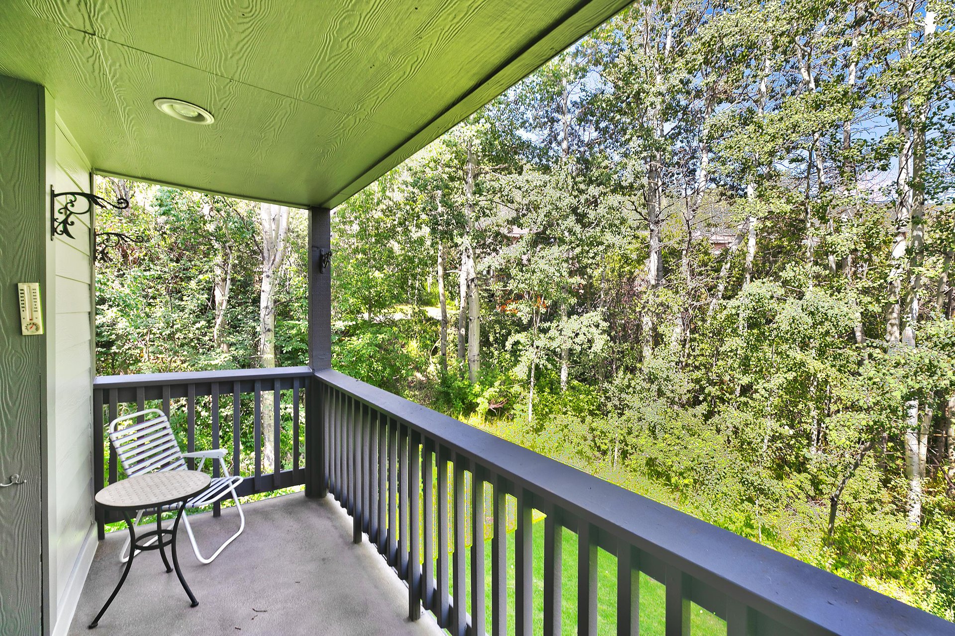 Enjoy the private patio on a beautiful summer day with aspen groves