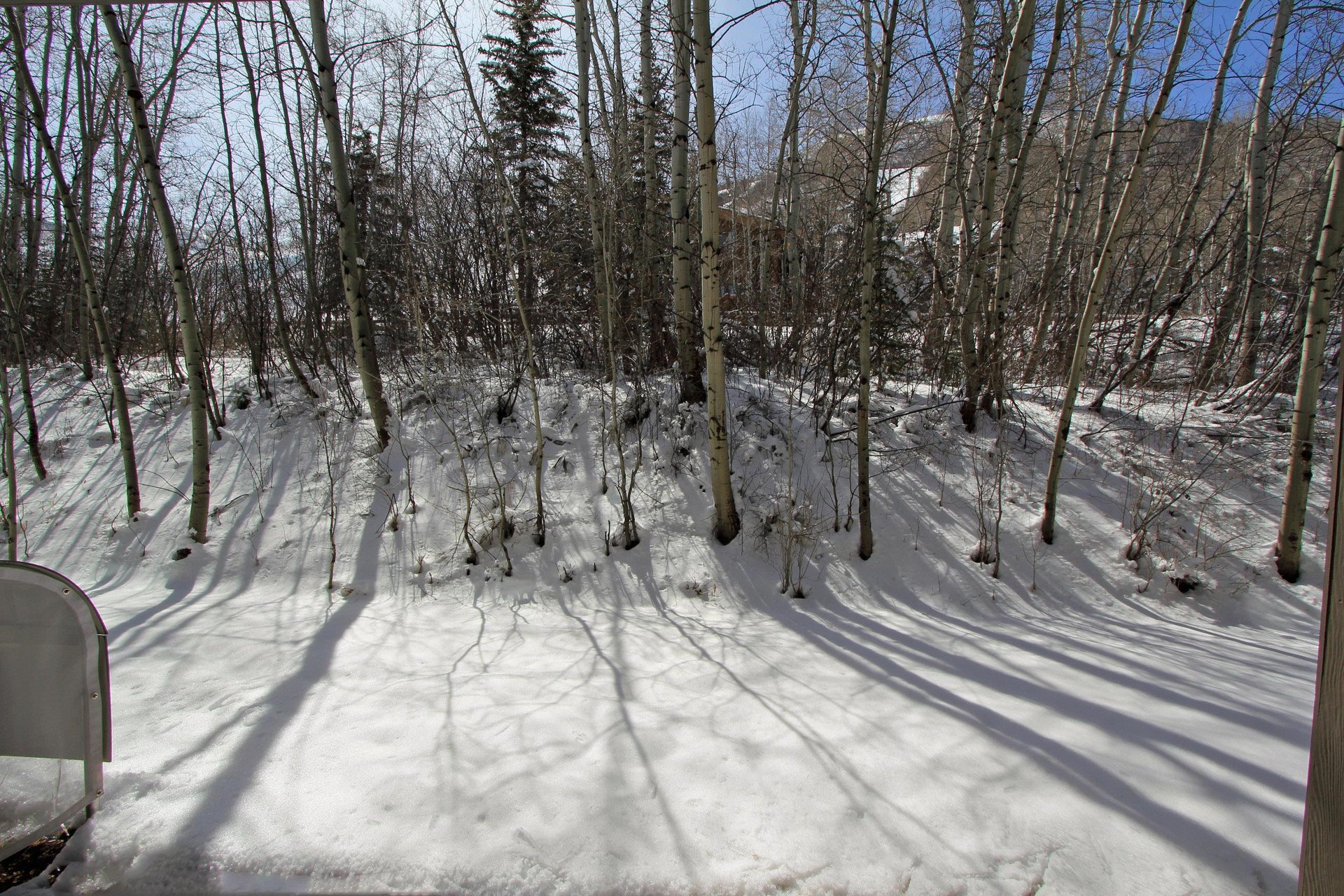 Snow Flower 134 has a private patio that over looks an aspen grove.